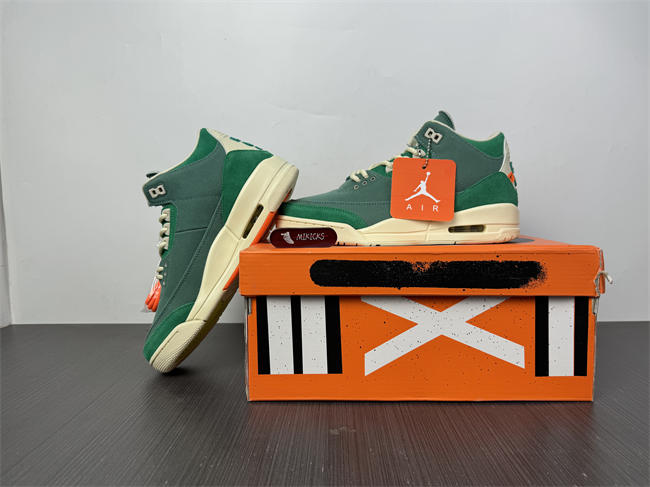 Nina Chanel Abney x Air Jordan 3 OG SP FZ7974-300
