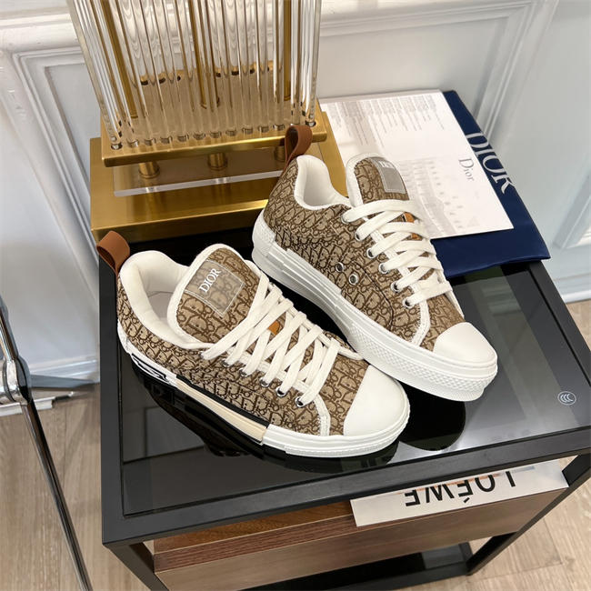 Dior B23 Low Top