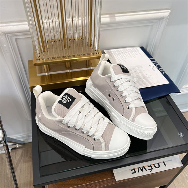 Dior B23 Low Top
