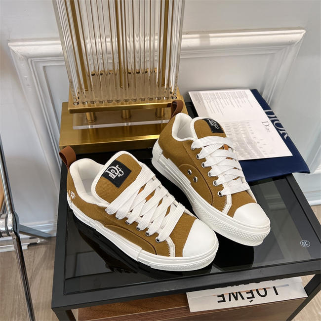 Dior B23 Low Top
