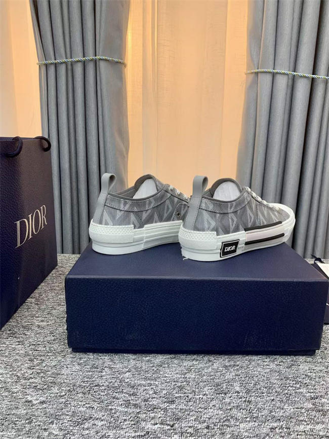 Dior B23 Low Top