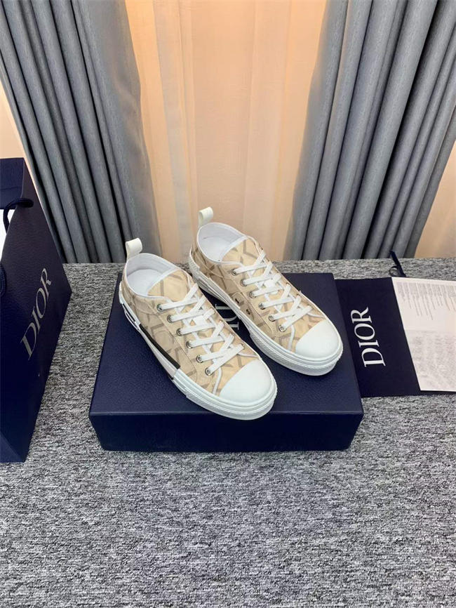 Dior B23 Low Top