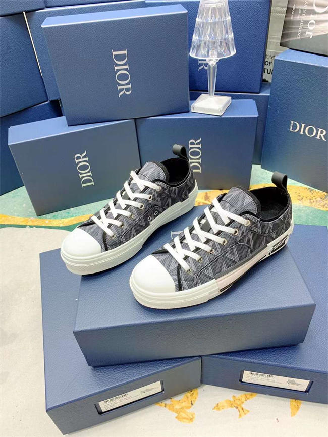 Dior B23 Sneaker