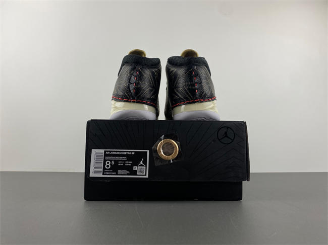Titan x Air Jordan 23  CZ6222-001